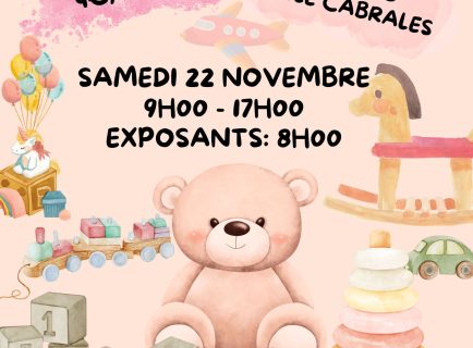 vide jouets