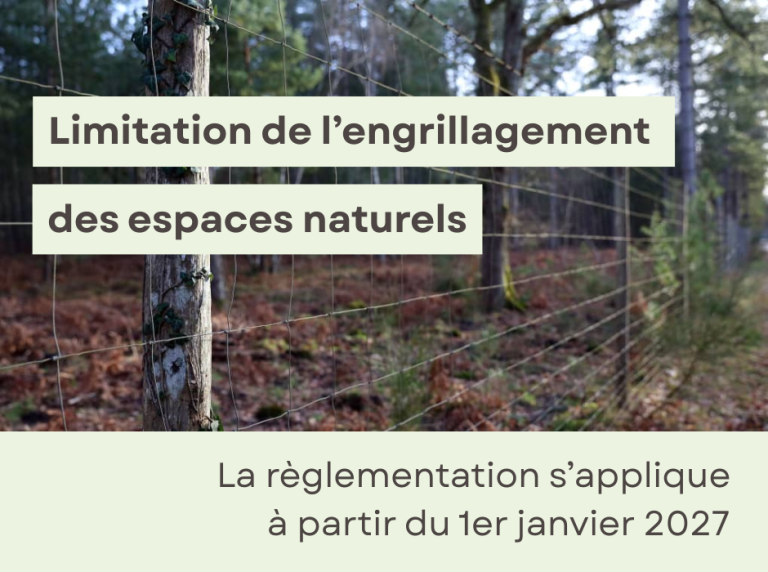 Loi engrillagement des espaces naturels: la règlementation s'applique à partir du 1er janvier 2027