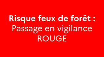 Risque de feux de forêt : vigilance ROUGE en Gironde
