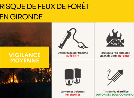 vigilance feux de forêt